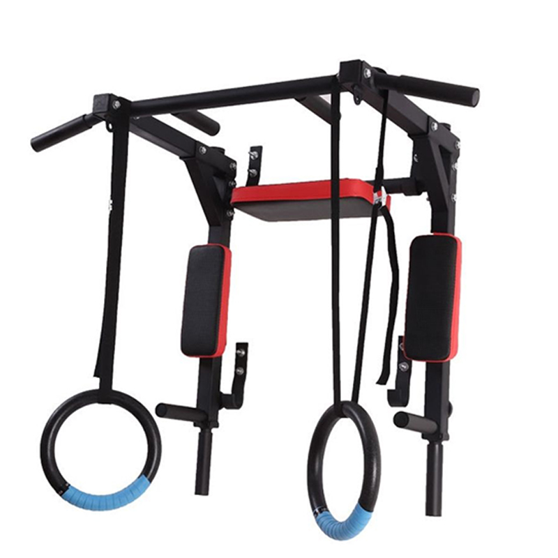 Home Gym Wall - Ağır Hizmet Tipi Duvara Monte Paralel