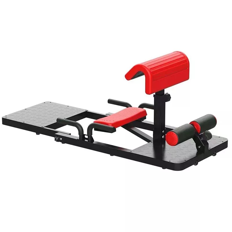 Home Gym Quad - Sissy Squat Makinesi 3'ü 1 Arada