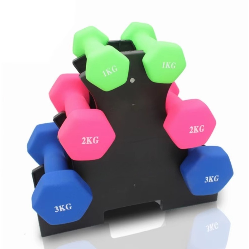 3 Katlı Dambıl Saklama Rafı Ev - Home Gym Rack incelemesi ve fiyatı