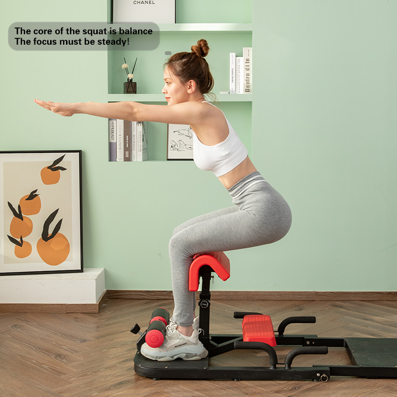 Sissy Squat Makinesi 3'ü 1 Ara - Home Gym Quad incelemesi ve fiyatı